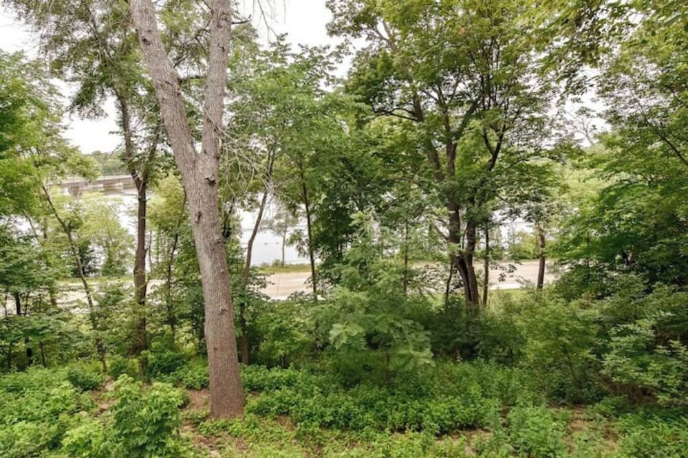 Photo of Outdoor in Waverly