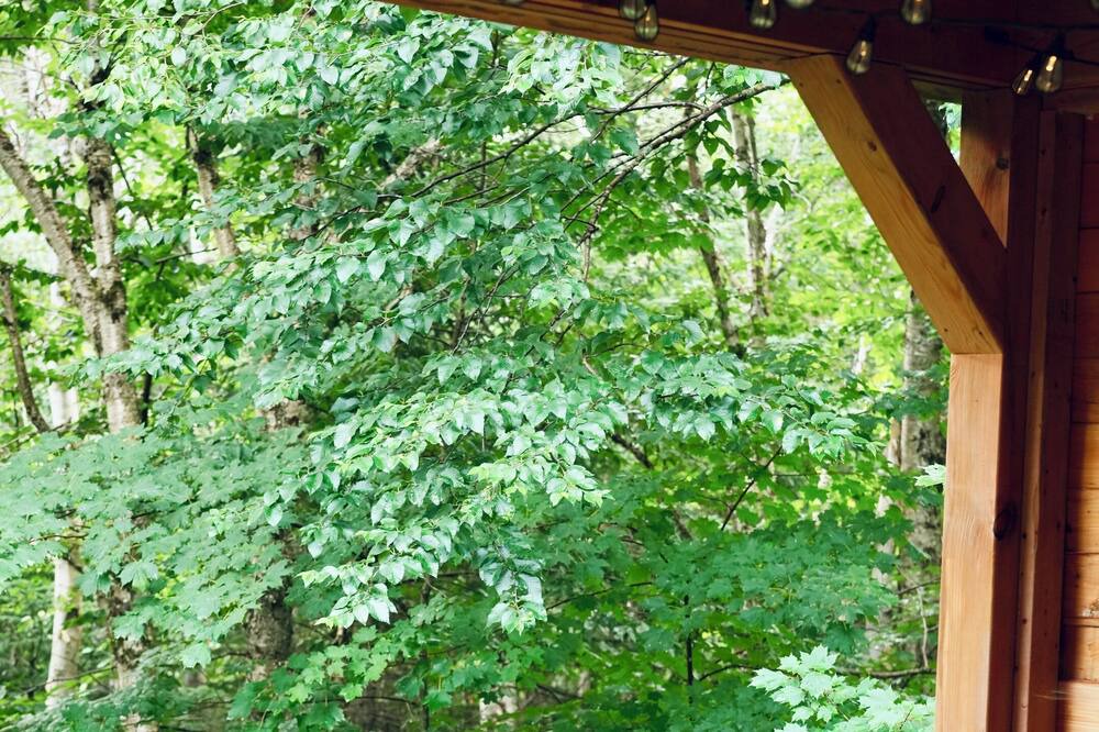Photo of Outdoor in Notre-Dame-Auxiliatrice-de-Buckland