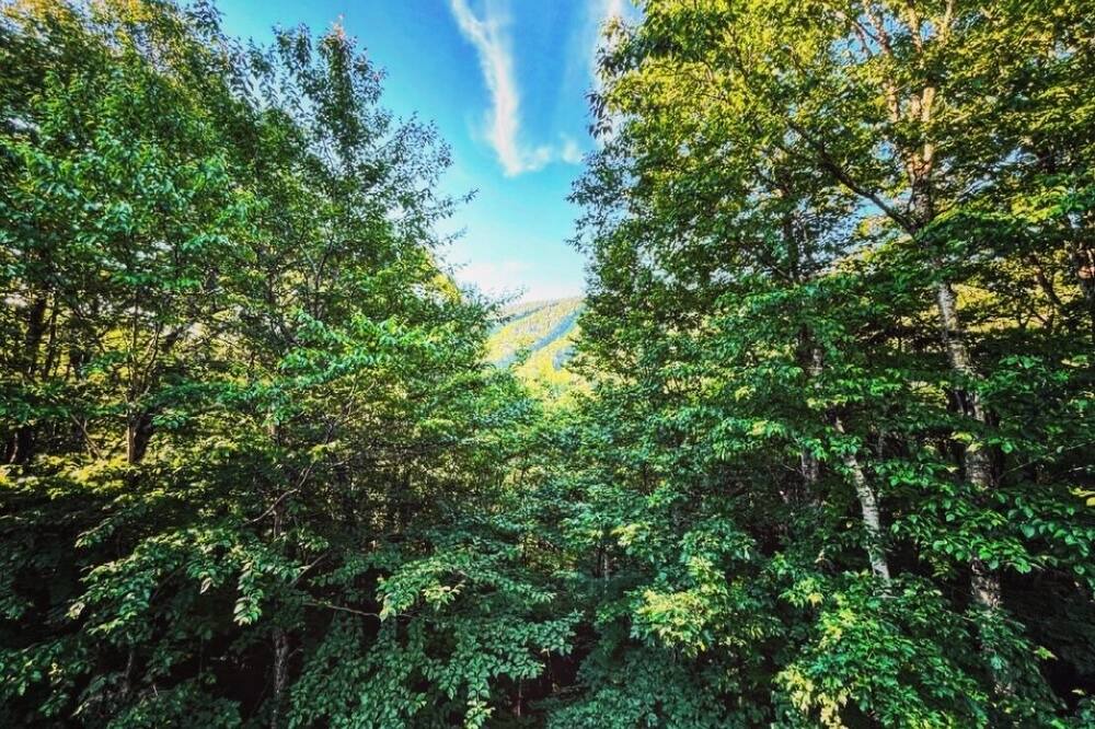 Photo of Outdoor in Notre-Dame-Auxiliatrice-de-Buckland