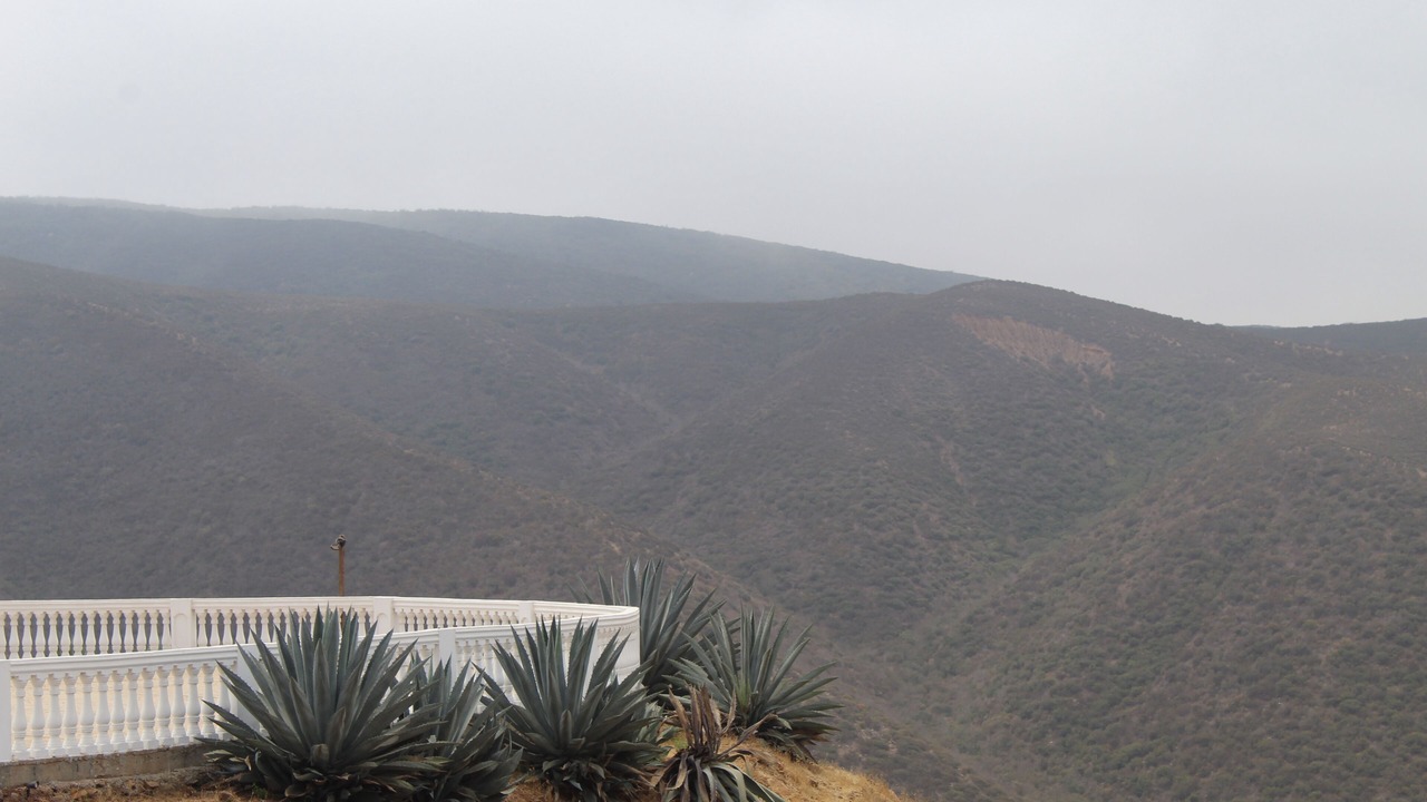 Photo of Outdoor in El Sauzal