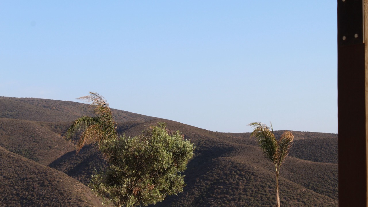 Photo of Outdoor in El Sauzal