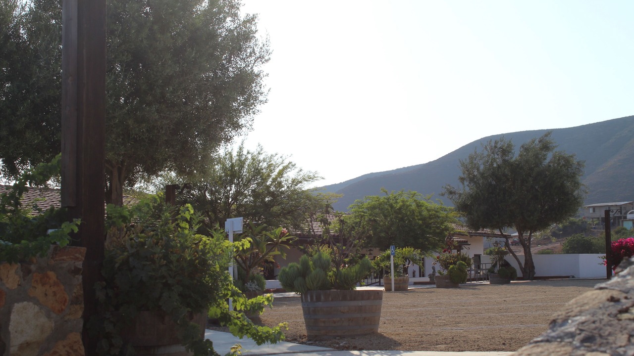 Photo of Outdoor in El Sauzal