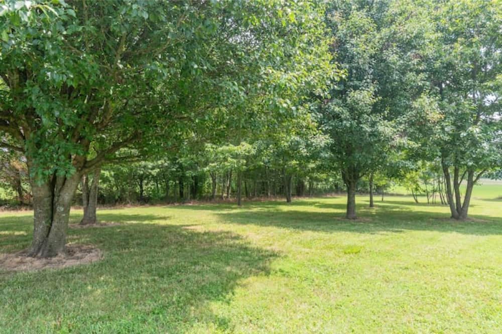 Photo of Outdoor in Hohenwald
