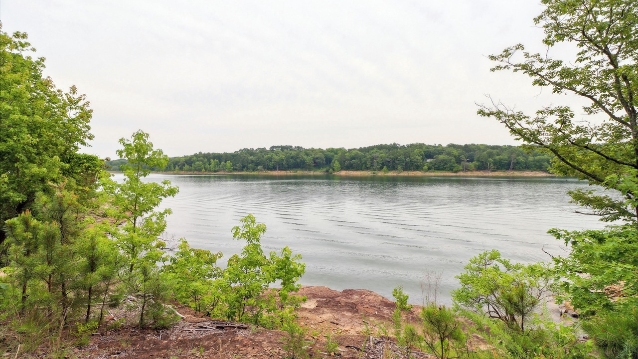 Photo of Others in Greers Ferry