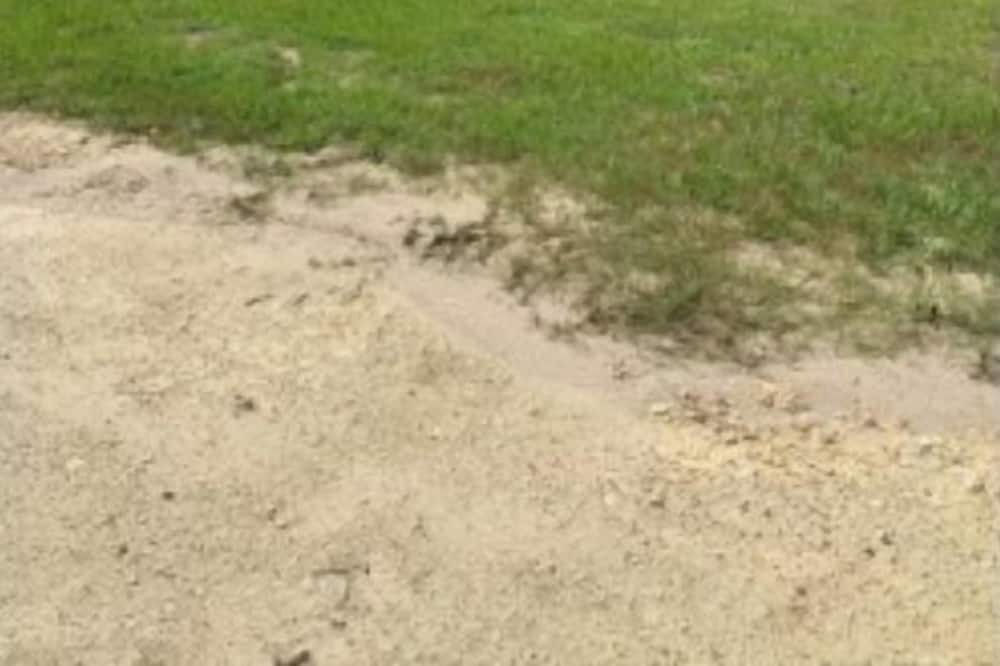 Photo of Others in Hawthorne