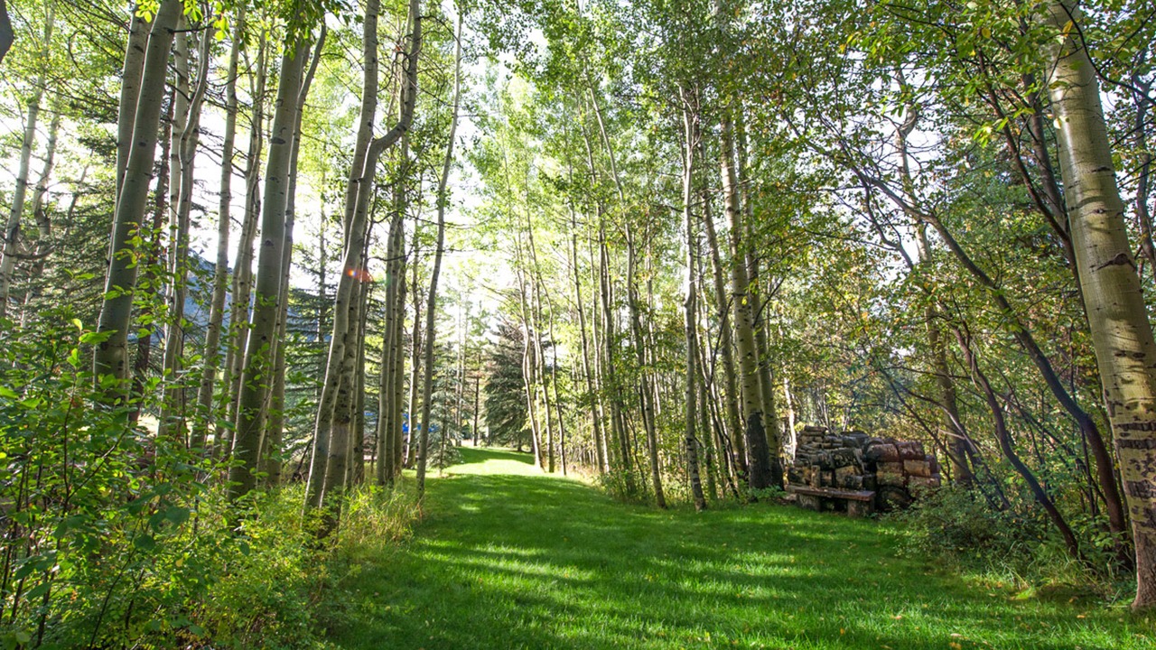 Photo of Outdoor in Aspen