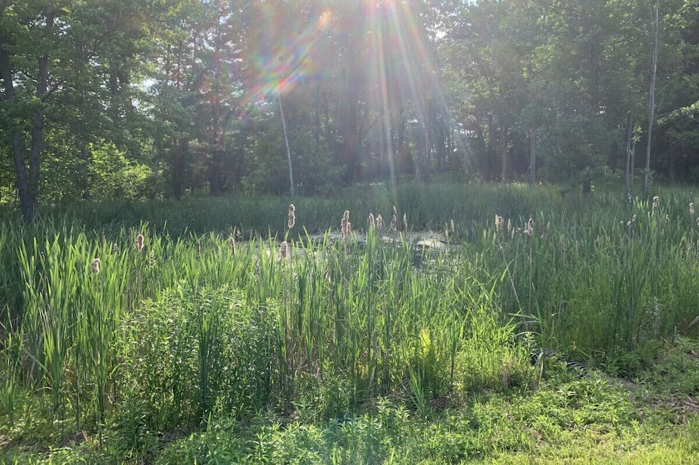 Photo of Others in Colchester