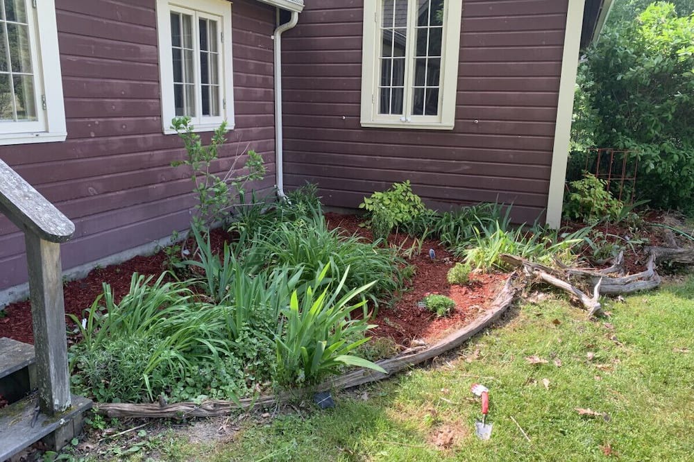 Photo of Others in Colchester