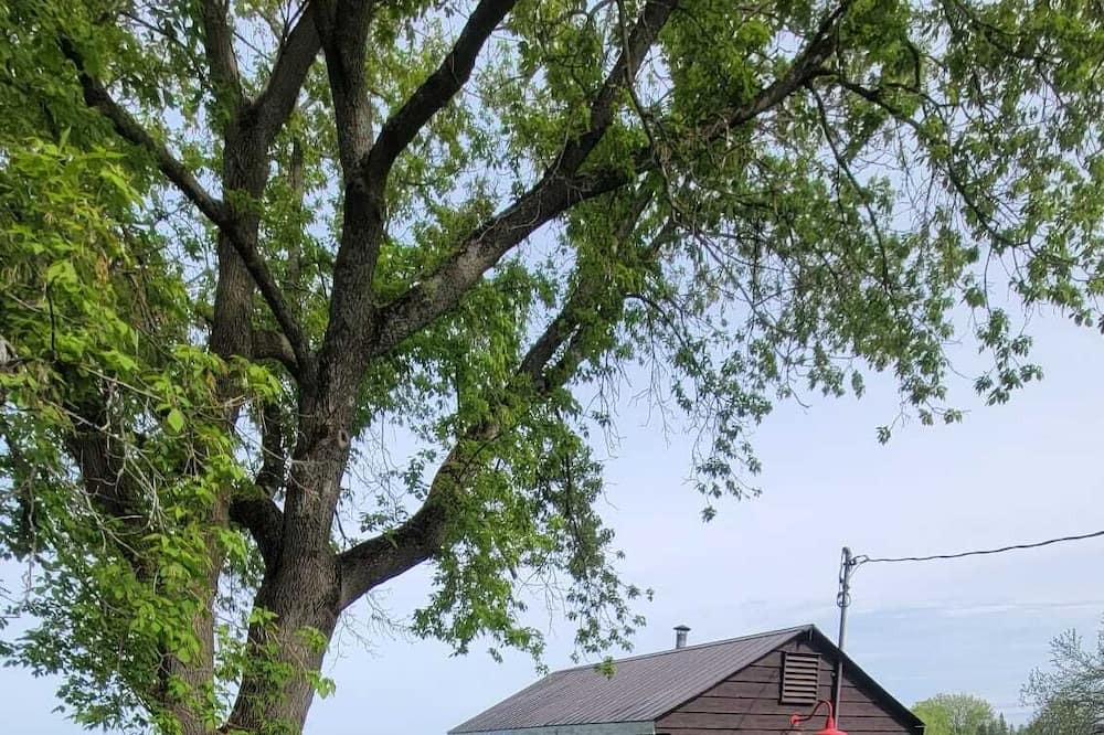 Photo of Outdoor in Kawartha Lakes