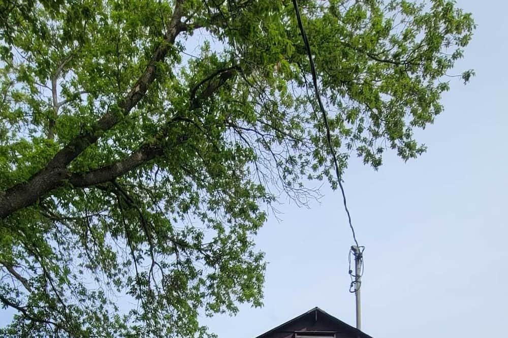 Photo of Outdoor in Kawartha Lakes