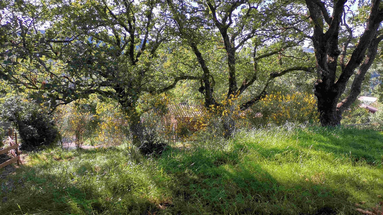 Photo of Outdoor in Darbres
