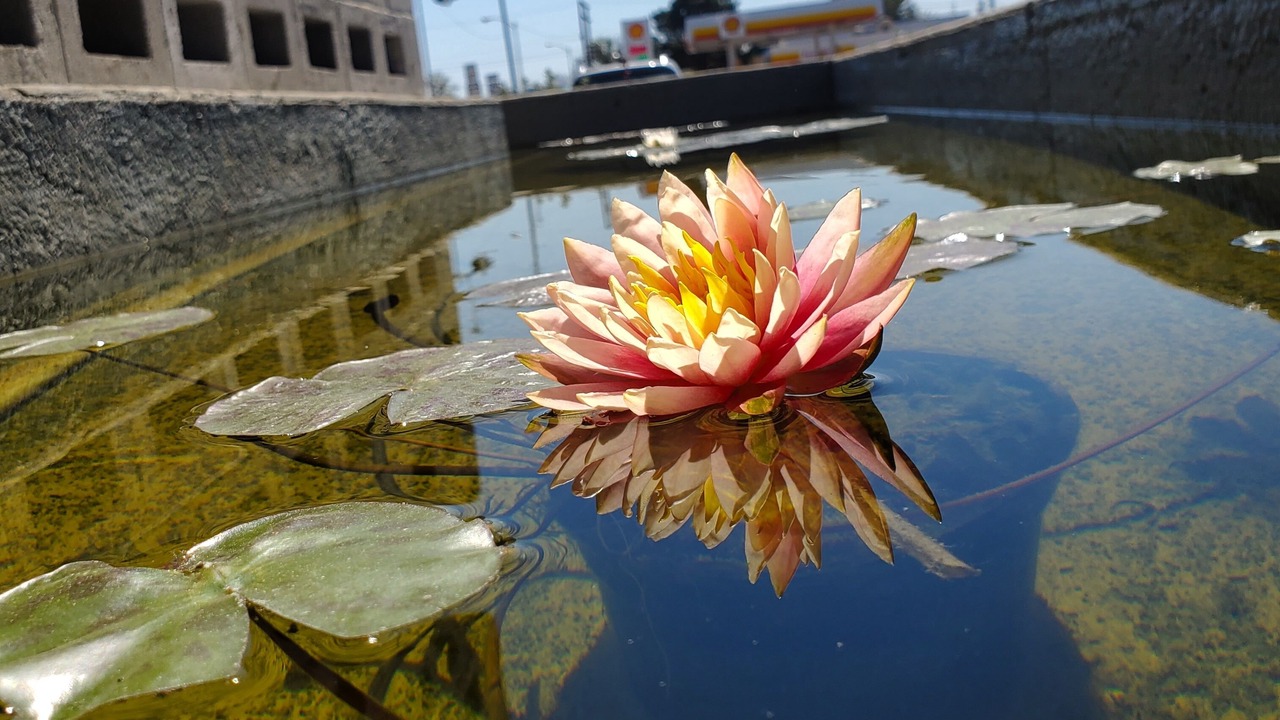 Photo of Outdoor in San Angelo