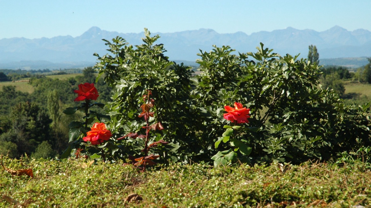 Photo of Others in Latrape