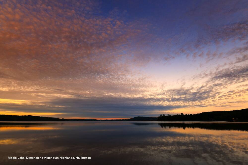 Photo of Outdoor in Algonquin Highlands