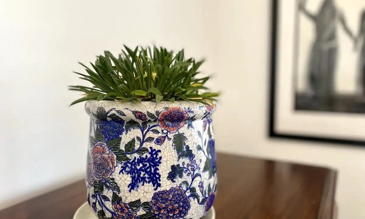 Photo of Others in Grange