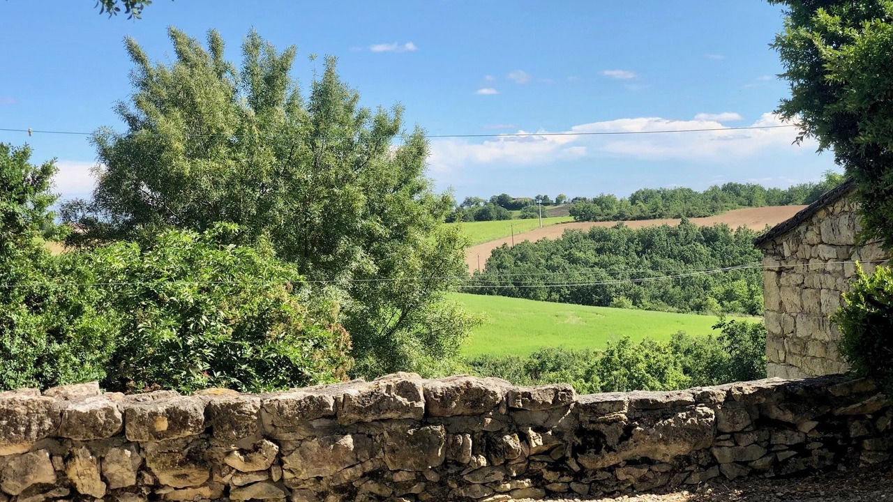 Photo of Others in Souel