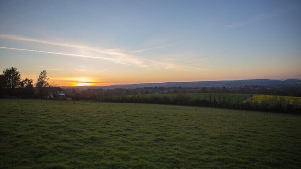 Photo of Others in West Buckland