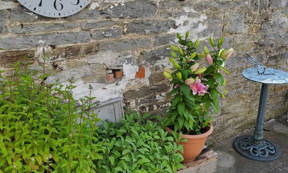 Photo of Outdoor in Knighton