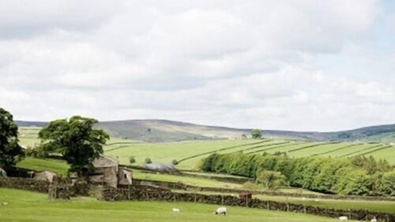 Photo of Others in Ogden