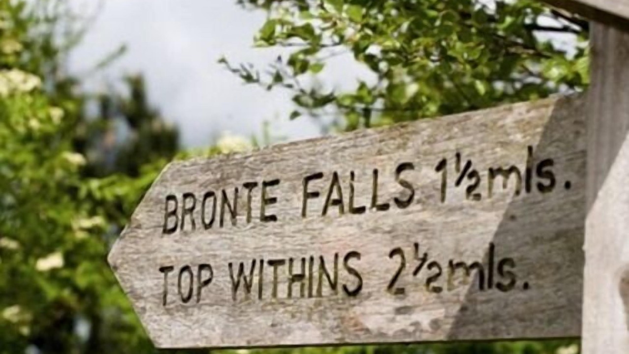 Photo of Others in Ogden