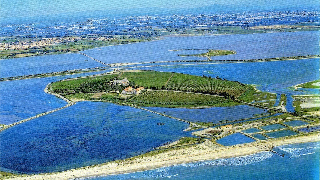 Photo of Others in Villeneuve-les-Maguelone