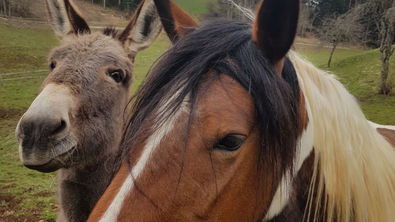 Photo of Others in Lompnes