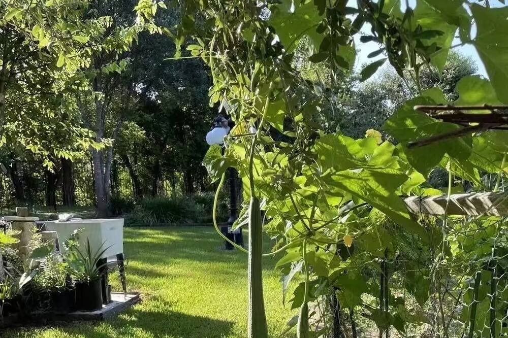 Photo of Outdoor in Iowa Colony