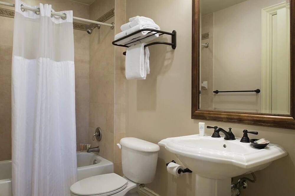 Photo of Bathroom in Downtown San Antonio