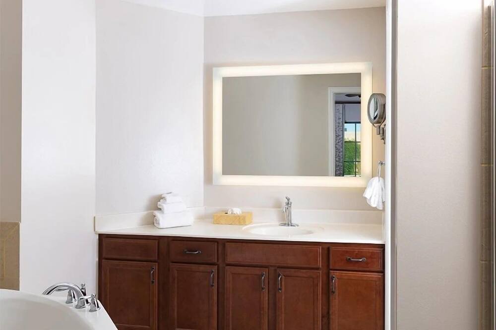 Photo of Bathroom in Downtown San Antonio