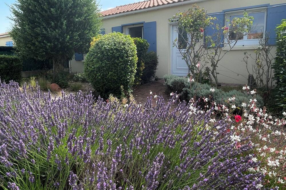 Photo of Outdoor in Chateau-d'Olonne