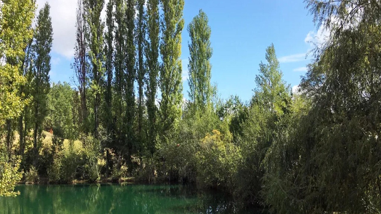 Photo of Outdoor in Montaigu-de-Quercy