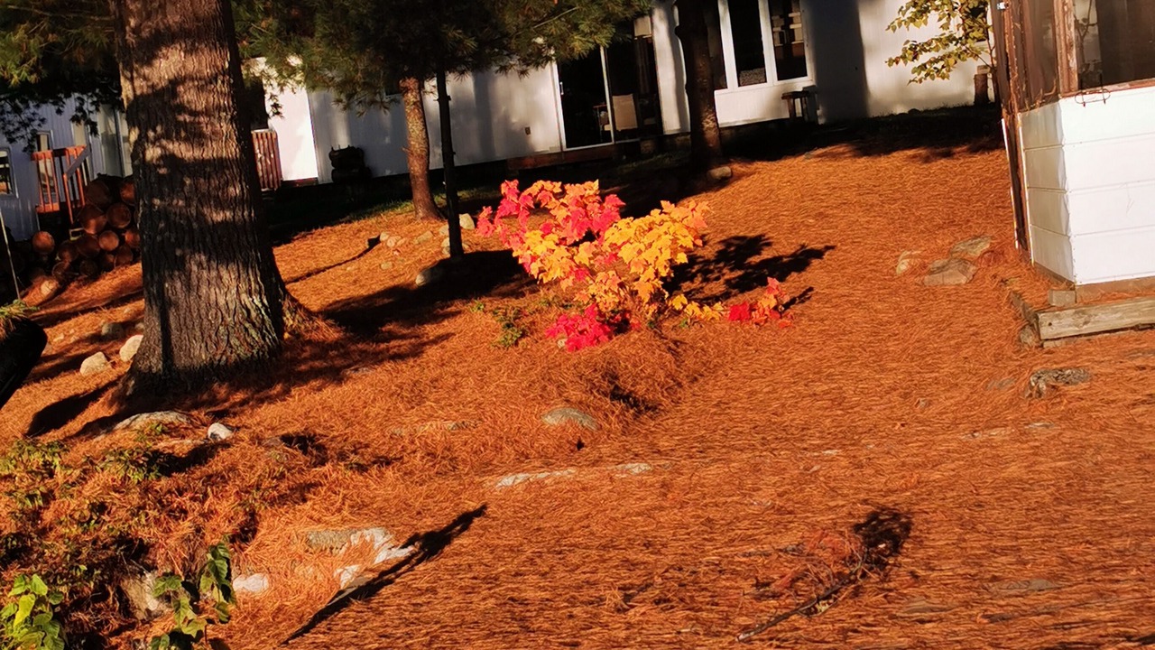 Photo of Outdoor in Thorne