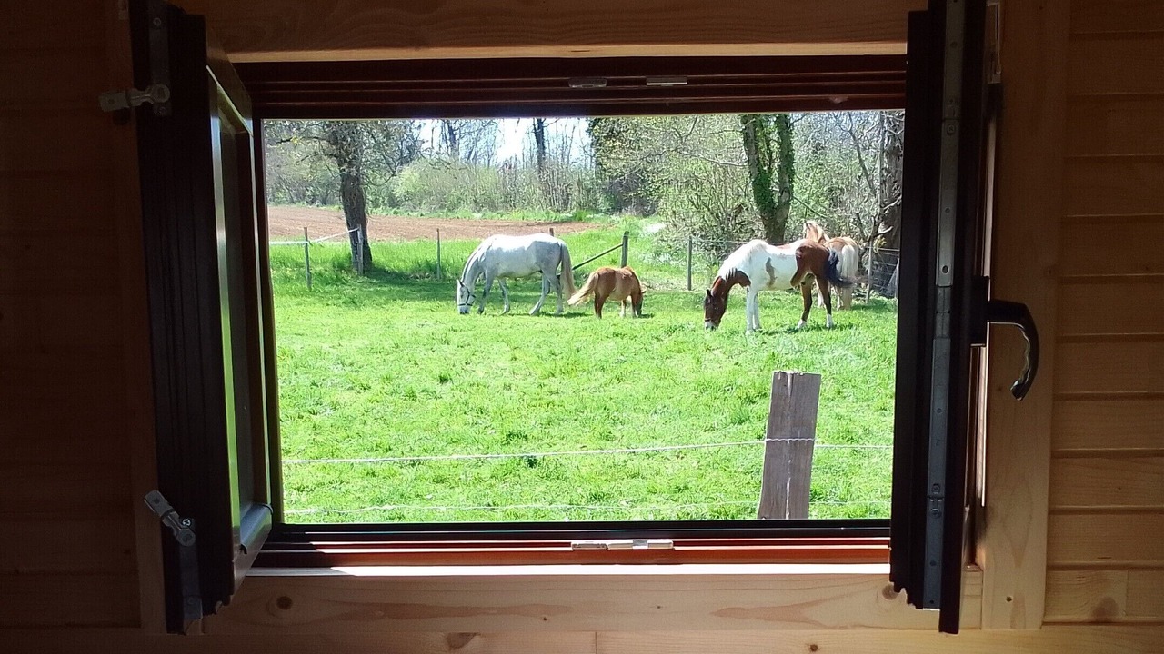 Photo of Others in Segur-le-Chateau