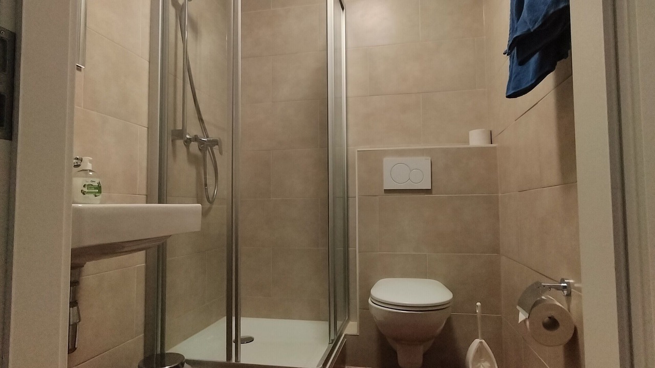 Photo of Bathroom in Veytaux