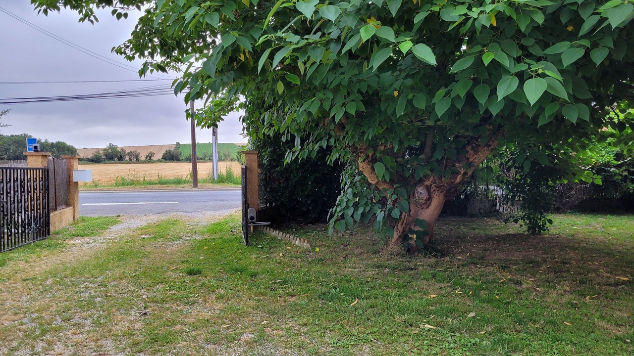 Photo of Outdoor in Grepiac