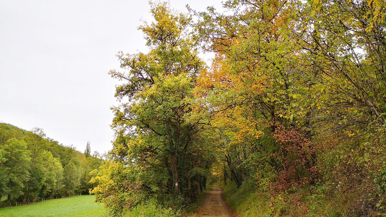 Photo of Outdoor in Villefranche-de-Rouergue