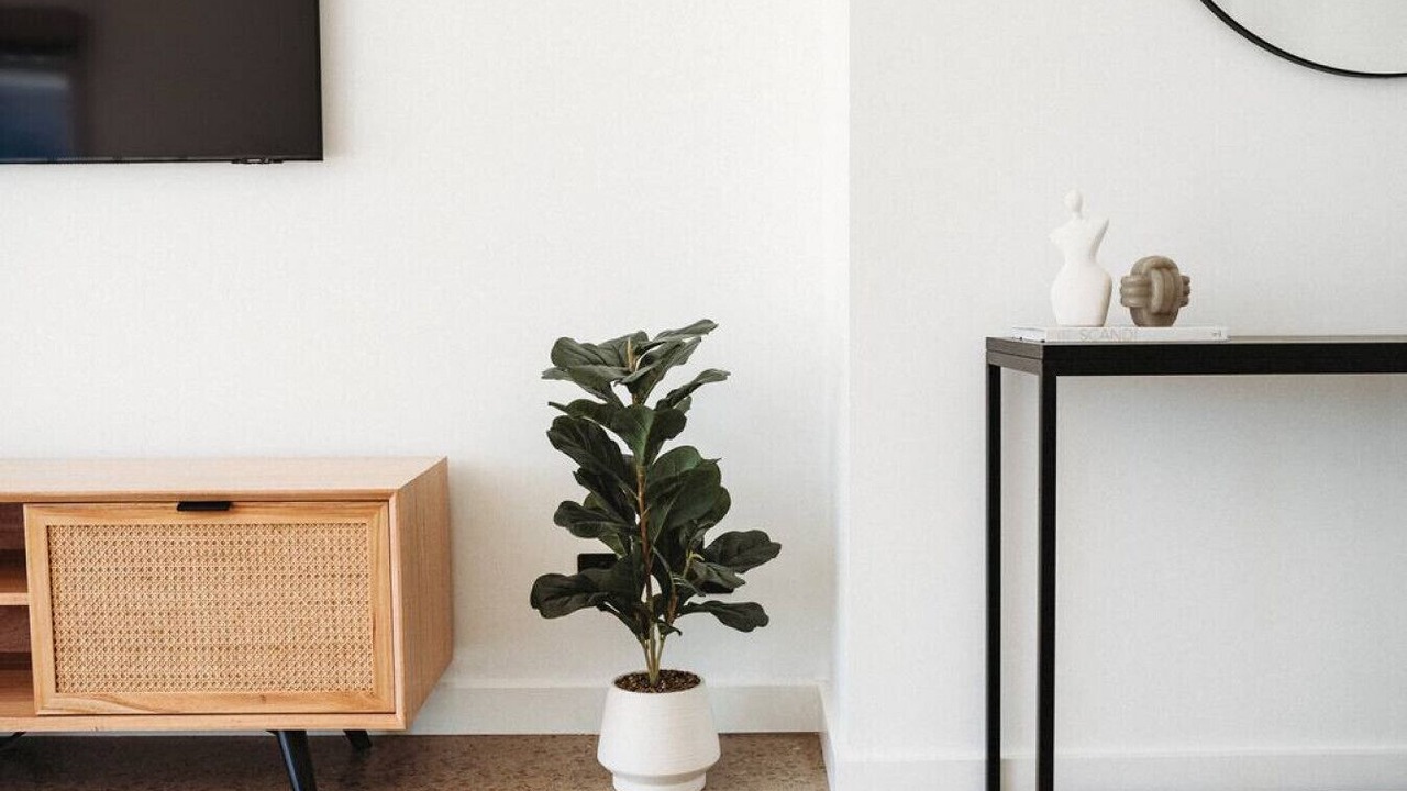 Photo of Others in Benalla West