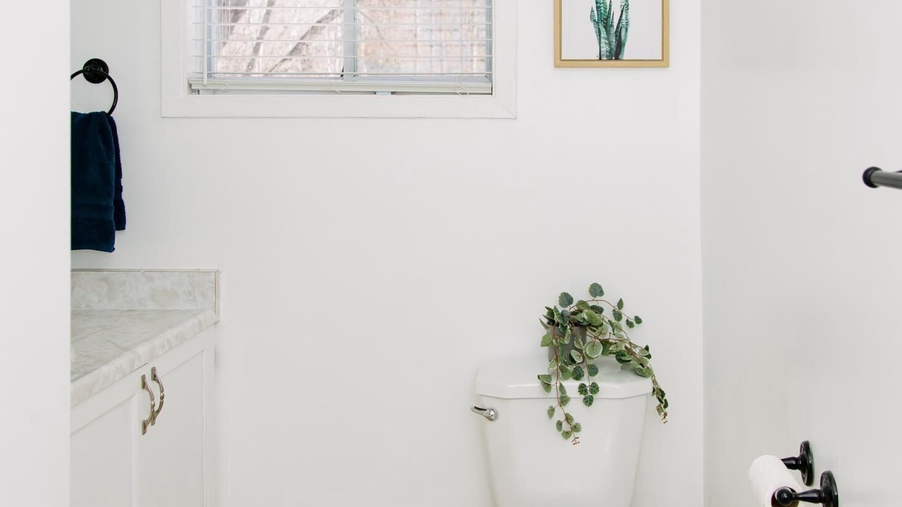 Photo of Bathroom in Highlands East