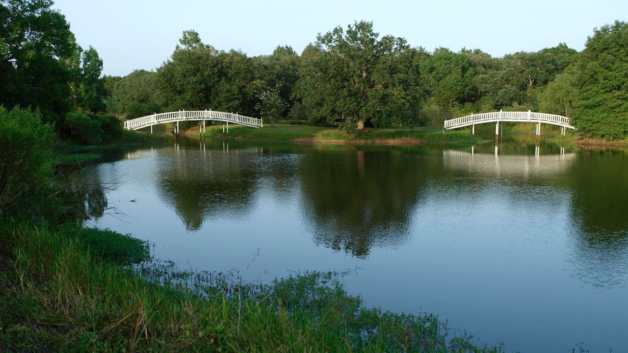 Photo of Others in Cat Spring