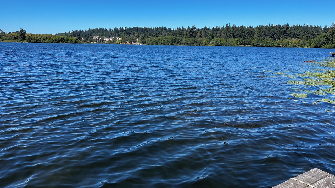 Photo of Others in Edmonds