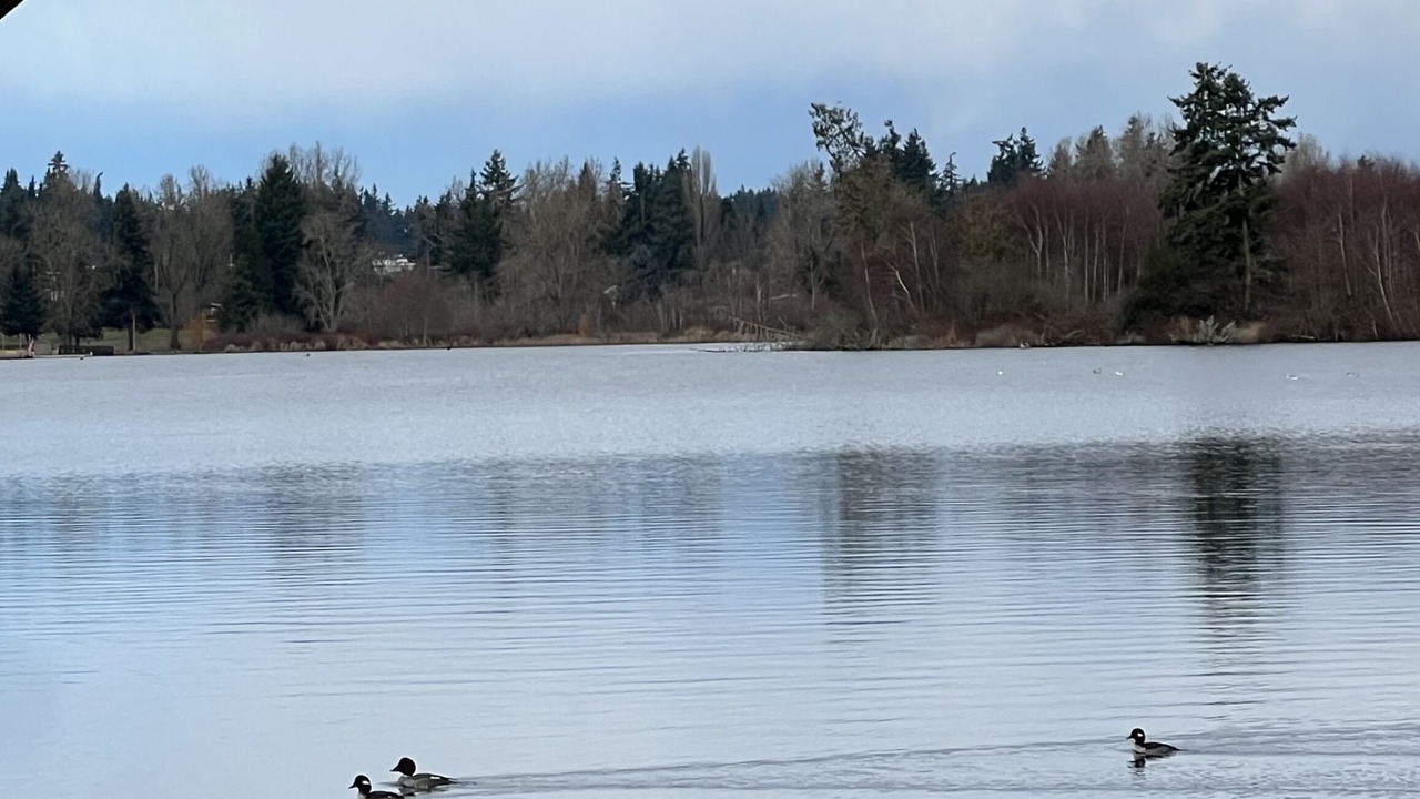 Photo of Outdoor in Edmonds