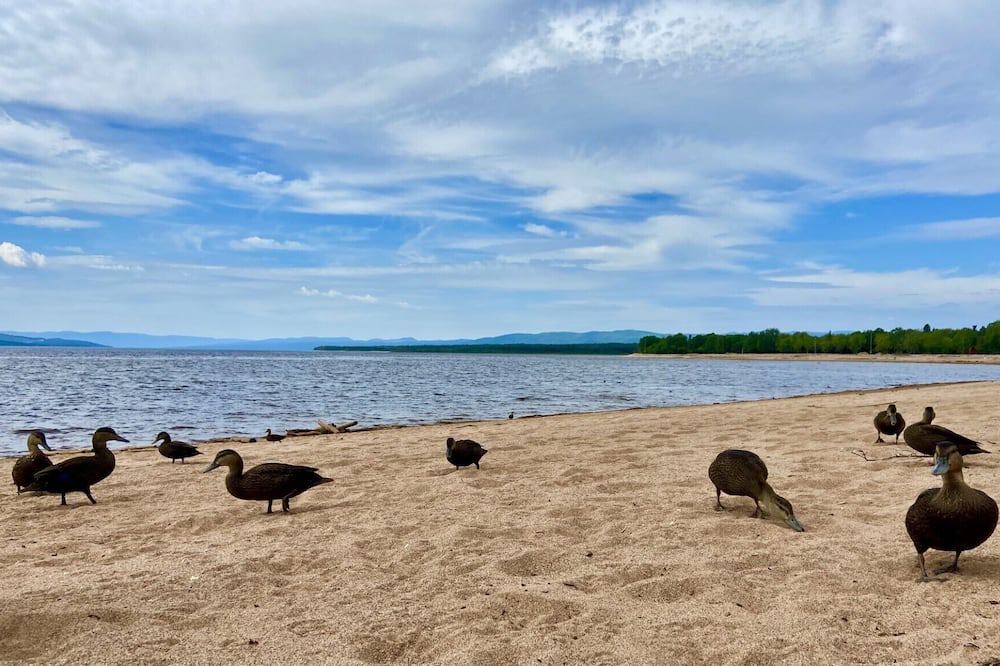 Photo of Others in Deer Lake