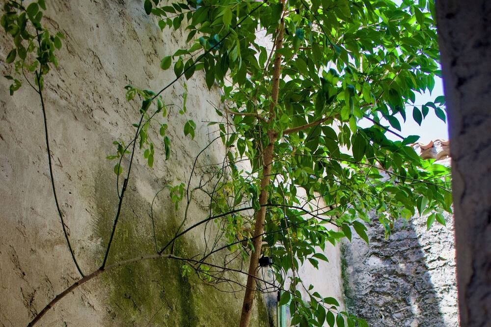 Photo of Outdoor in Olonzac