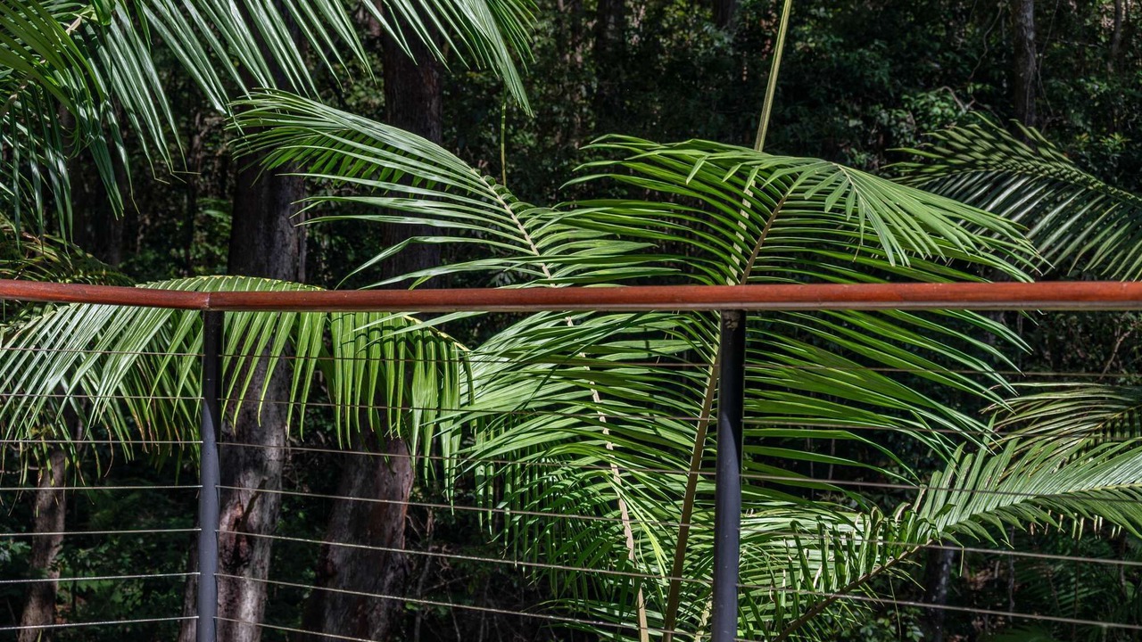 Photo of Outdoor in Macmasters Beach