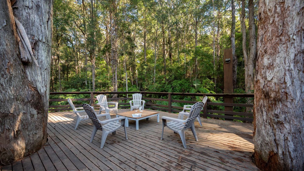 Photo of Outdoor in Macmasters Beach