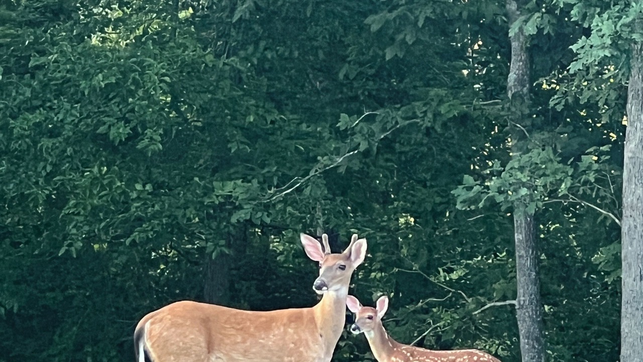 Photo of Outdoor in Cassville