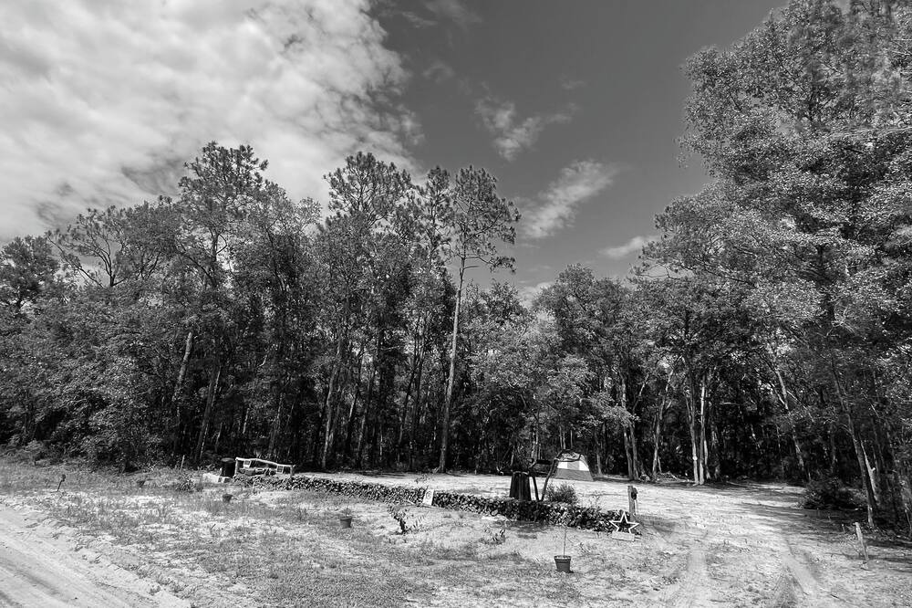 Photo of Outdoor in Hollister