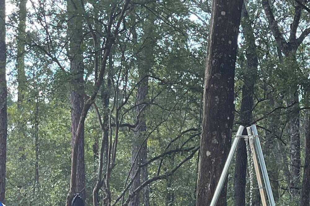 Photo of Outdoor in Hollister