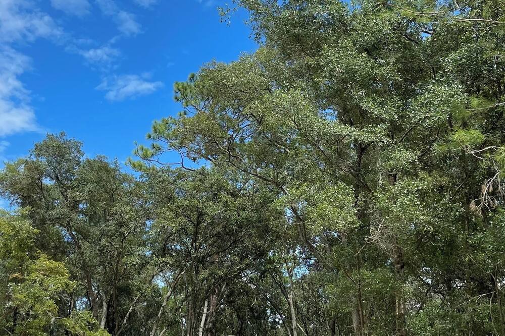 Photo of Outdoor in Hollister