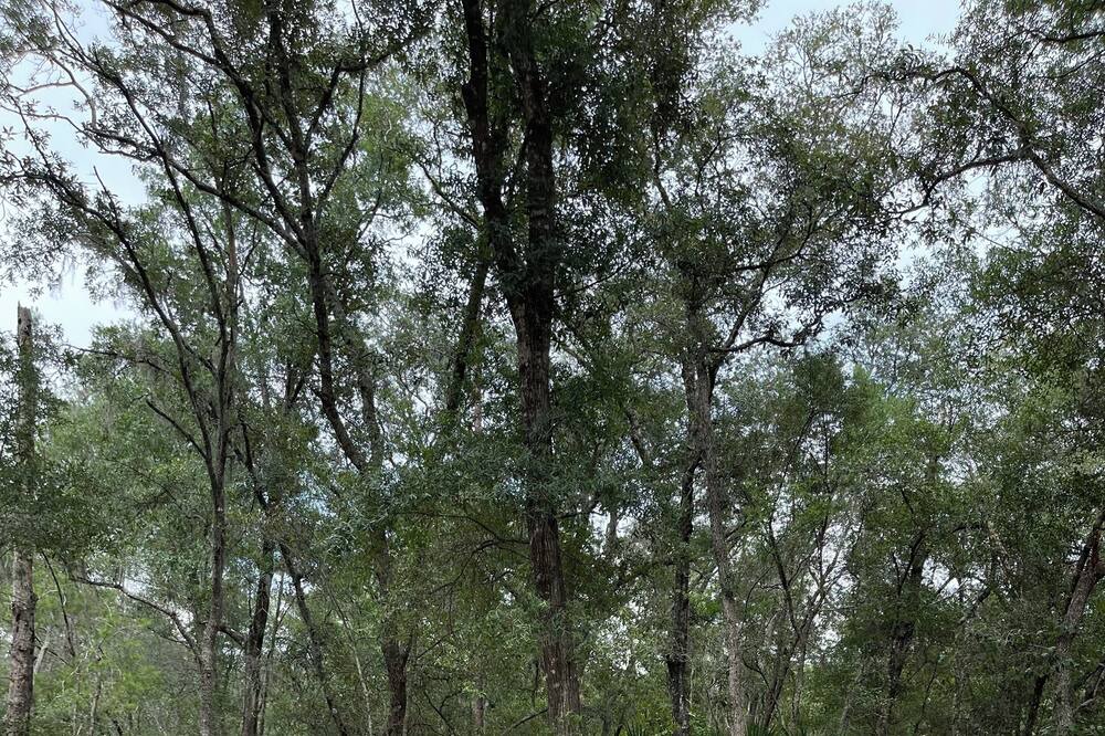 Photo of Outdoor in Hollister